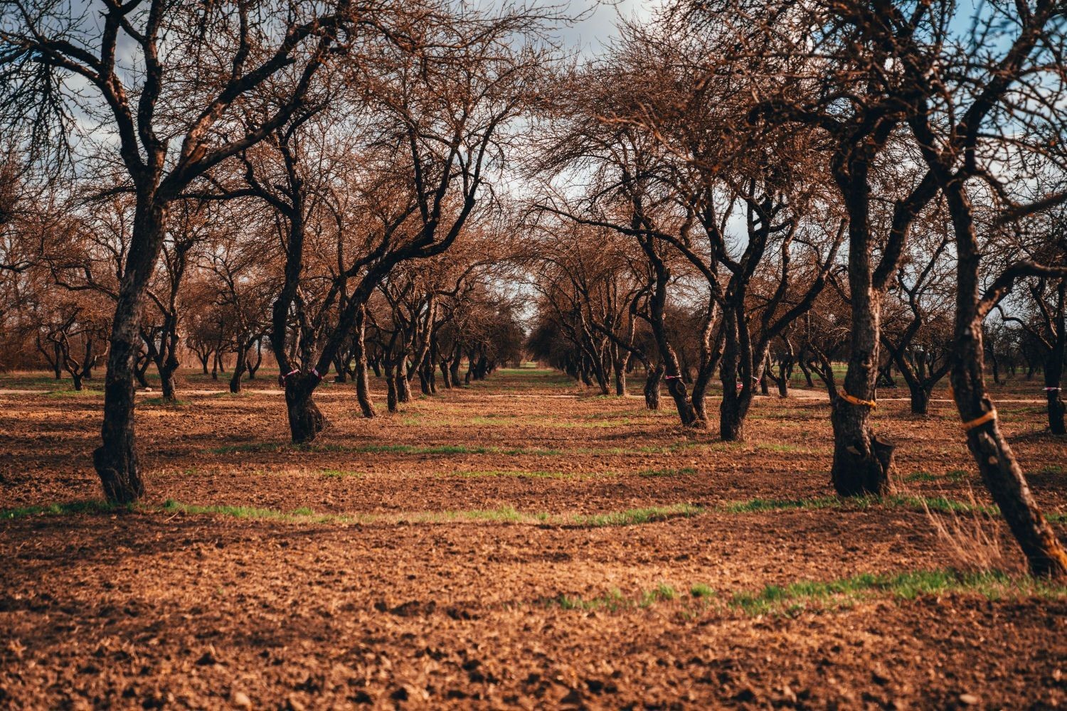 Pandēmijas laikā jauna tūrisma iespēja Zemgalē: piedzīvojumu un iedvesmas vieta Nākotnes parks (Attēls 0)