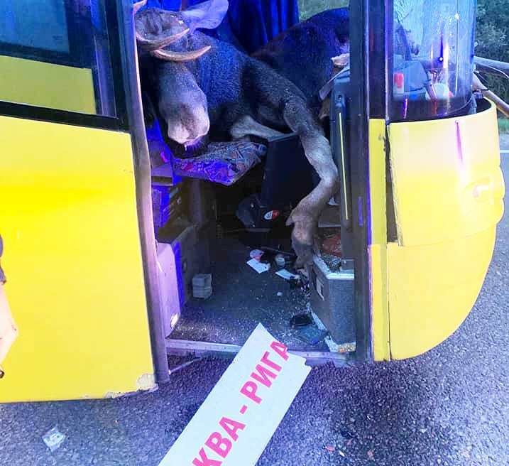 Šaušalīgā autokatastrofā Līvānos alnis ielido pasažieru autobusa salonā. FOTOGALERIJA (Attēls 2)