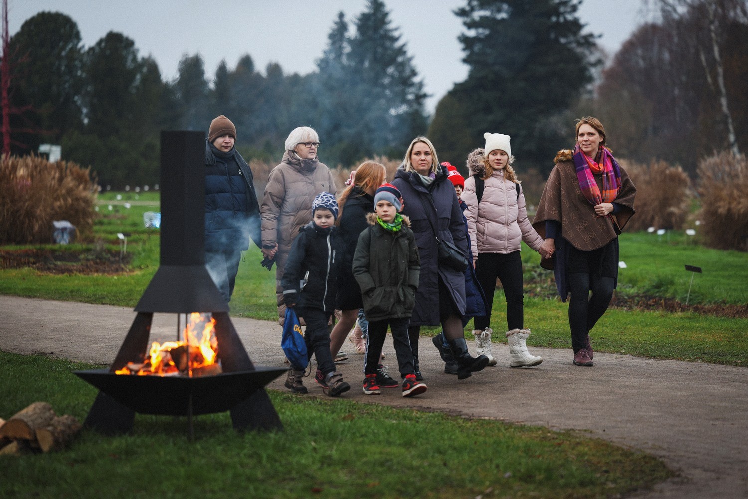 Sirdssiltais "Brīnumu mežs" līdz 3. janvārim! Ziemassvētku vecītis Sandijs Krastiņš ielūdz vecākus ar bērniem Botāniskajā dārzā (Attēls 3)